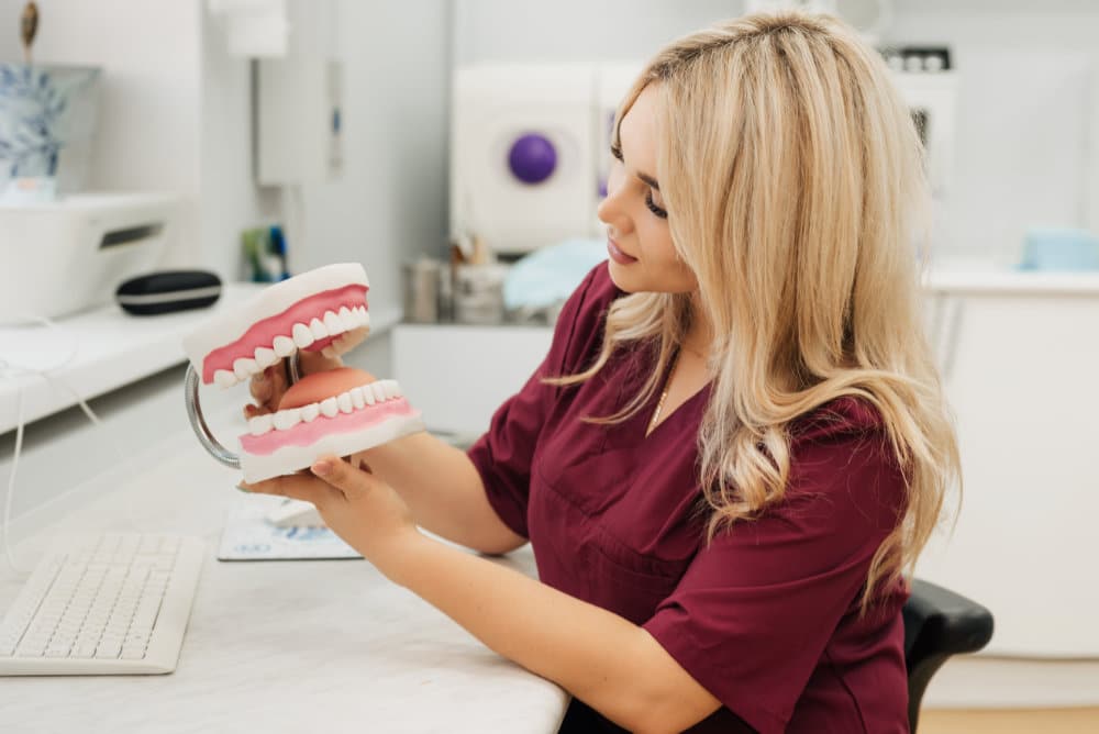 young female nurse holding tooth model